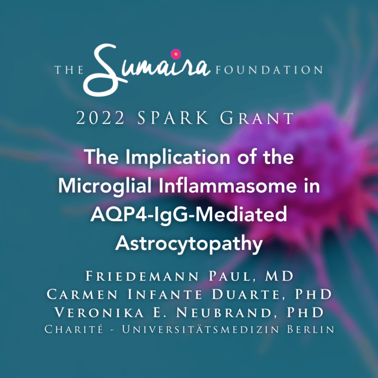 The Implication of the Microglial Inflammasome in AQP4-IgG-Mediated Astrocytopathy