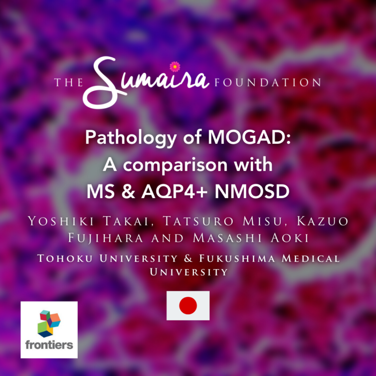 Pathology of MOGAD: a comparison with MS and AQP4 antibody-positive NMOSD Authors