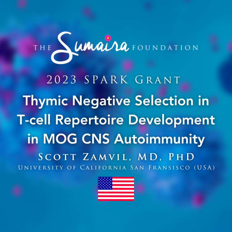 Thymic Negative Selection in T-cell Repertoire Development in MOG CNS Autoimmunity